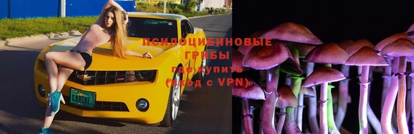 jwh Пролетарск