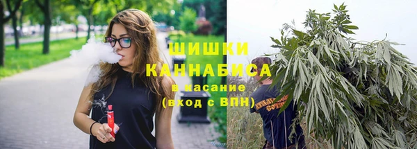 apvp Аркадак