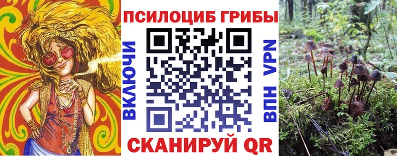 Галлюциногенные грибы Psilocybe закладки Полярные Зори
